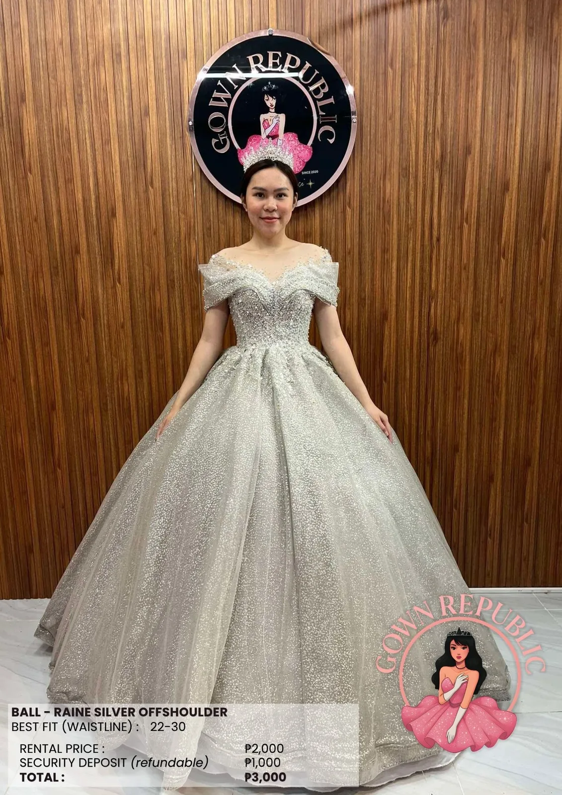 Ball Gowns: Silver / Gray 264